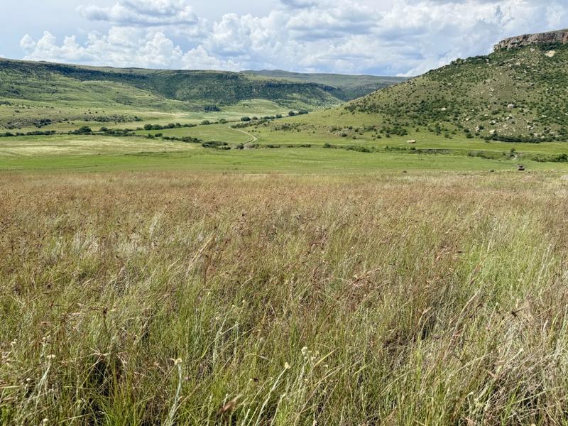 0 Bedroom Property for Sale in Harrismith Free State